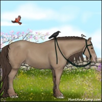 Horse Color:Classic Champagne 