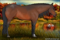 Horse Color:Bay Rabicano  and Bay 