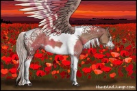 Horse Color:Silver Brown Dun Tobiano Frame