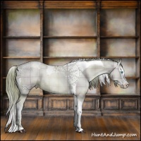 Horse Color:Watercolor Plaid Buckskin Roan Pearl Splash Tobiano