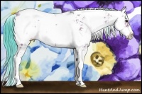 Horse Color:Watercolor Buckskin Onyx Sabino 