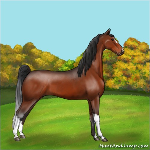 Horse Color:Brown 