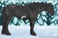 Horse Color:Black Frame 