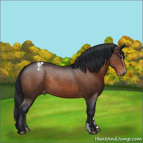 Horse Color:Brown Varnish Rabicano 