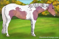 Horse Color:Watercolor Silver Black Tobiano 