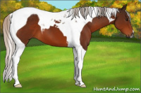 Horse Color:Gray Silver Bay Tobiano