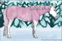 Horse Color:Watercolor Silver Bay Splash Rabicano 