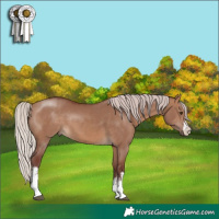 Horse Color:White Spotted Chocolate Silver Brown Dun 