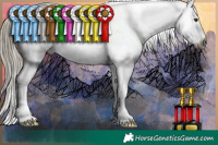 Horse Color:Gray White Spotted Liver Chestnut Mushroom Appaloosa