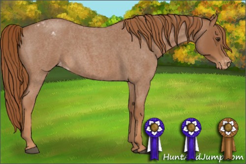 Horse Color:Red Roan Varnish