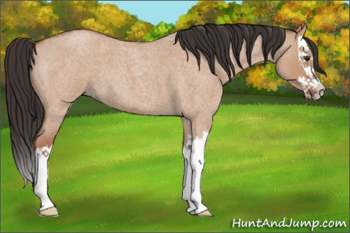 Horse Color:Bay Roan Dun Splash 