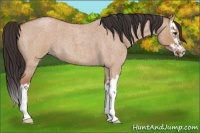 Horse Color:Bay Roan Dun Splash