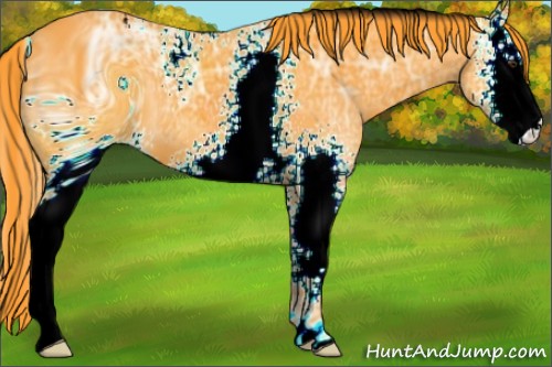 Horse Color:ERROR: UNKNOWN ANOMALY