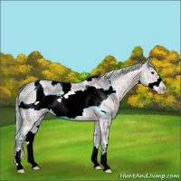 Horse Color:Watercolor White Spotted Silver Brown Ice Dun Frame 