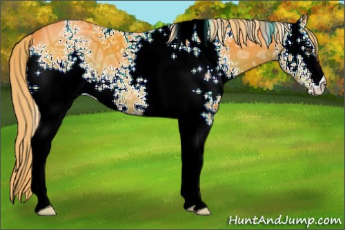 Horse Color:Watercolor White Spotted Liver Chestnut Ice 