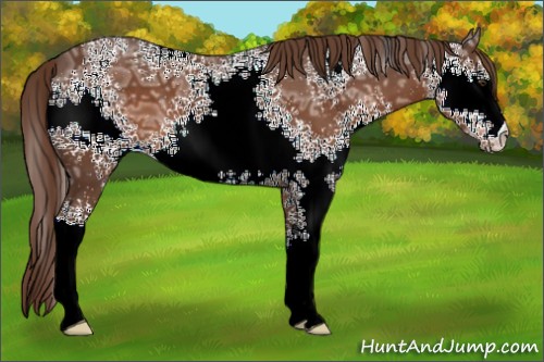 Horse Color:White Spotted Liver Chestnut Ice