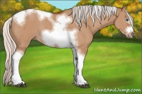 Horse Color:Silver Bay Dun Sabino Tobiano Frame Rabicano 