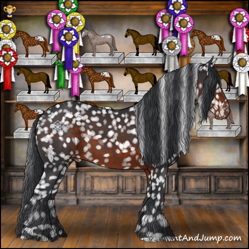 Horse Color:Brown Appaloosa 