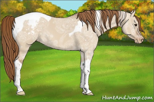 Horse Color:Red Dun Ice Tobiano Varnish