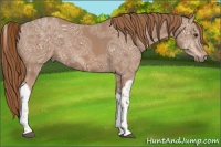 Horse Color:Chestnut Ice Tobiano