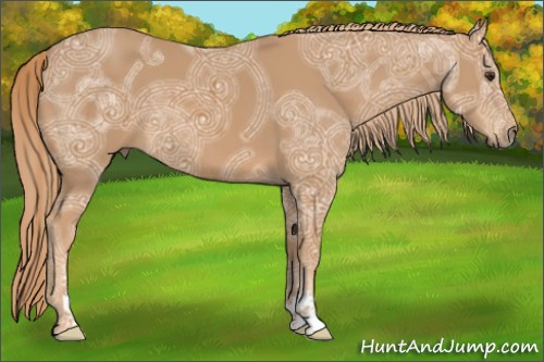 Horse Color:Chestnut Ice Sabino 