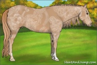 Horse Color:Chestnut Ice Sabino 