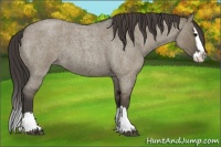 Horse Color:Smoky Grullo Roan Sabino Splash 