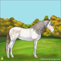 Horse Color:White Spotted Grullo Pearl Sabino