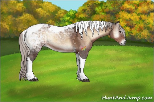 Horse Color:Silver Brown Ice Onyx Sabino Tobiano 