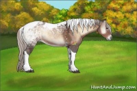Horse Color:Silver Brown Ice Onyx Sabino Tobiano 