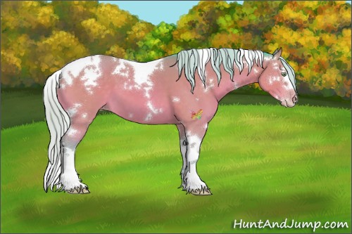 Horse Color:Watercolor White Spotted Silver Sable Cream Champagne Splash Tobiano