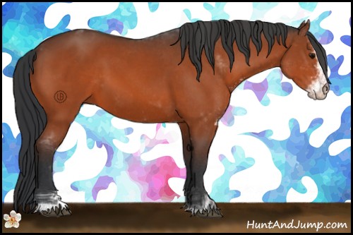 Horse Color:Bay Sabino 