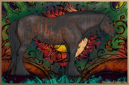 Horse Color:Brown Rabicano  and Black Rabicano 