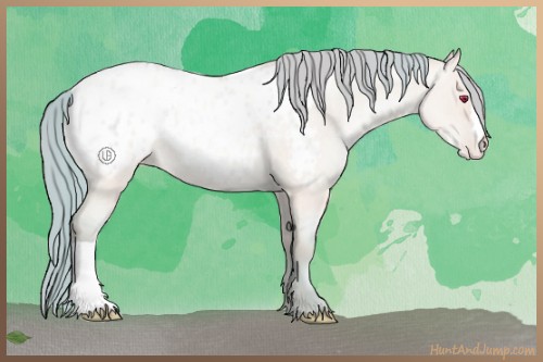 Horse Color:Watercolor Amber Champagne Chinchilla Roan Pearl Dun Blanket 