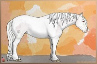 Horse Color:Watercolor Silver Amber Champagne Chinchilla Pearl Onyx Tobiano Appaloosa Rabicano 