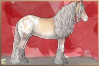 Horse Color:Silver Classic Champagne Onyx Appaloosa 