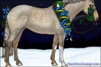 Horse Color:Silver Smoky Grullo Roan