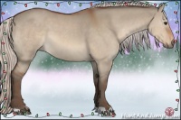 Horse Color:Silver Bay Dun 