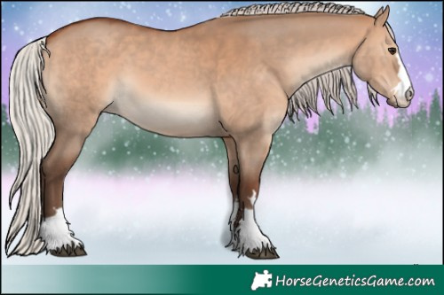 Horse Color:Silver Brown Dun