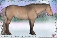 Horse Color:Silver Brown Dun 