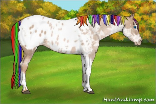 Horse Color:Painted Liver Red Ice Roan Pearl Splash Tobiano Frame Appaloosa 