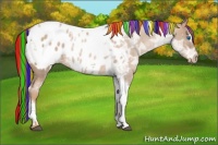 Horse Color:Painted Liver Red Ice Roan Pearl Splash Tobiano Frame Appaloosa 