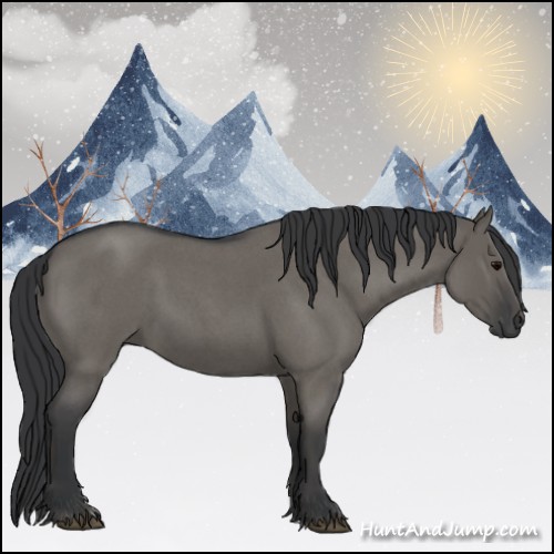 Horse Color:Grullo Roan 