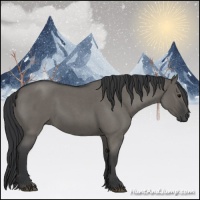 Horse Color:Grullo Roan 