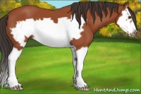 Horse Color:Bay Splash Frame 