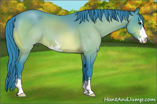 Horse Color:Watercolor Brown Sabino 