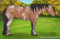 Horse Color:White Spotted Buckskin Ice 