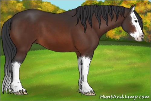 Horse Color:Brown Sabino Splash
