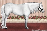Horse Color:Gray Liver Chestnut 