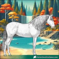 Horse Color:Black Ice Sabino